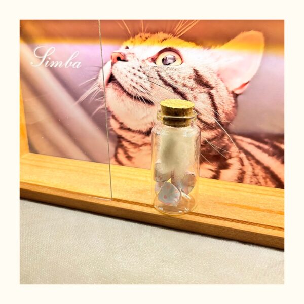 Pet Memorial Night Light Frame with Glass Keepsake Bottle - Cherish and Preserve Your Pet’s Memory - Image 9