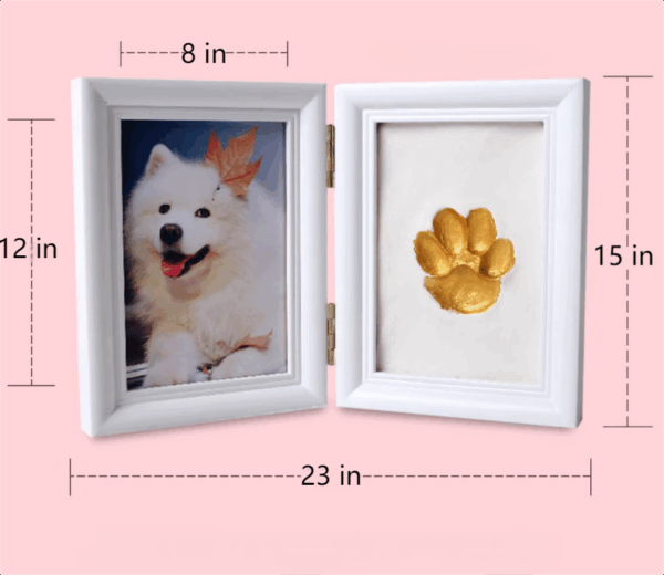 Frame hanging on hallway wall