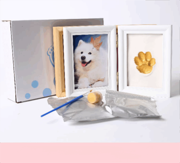Cat paw print in soft clay inside frame