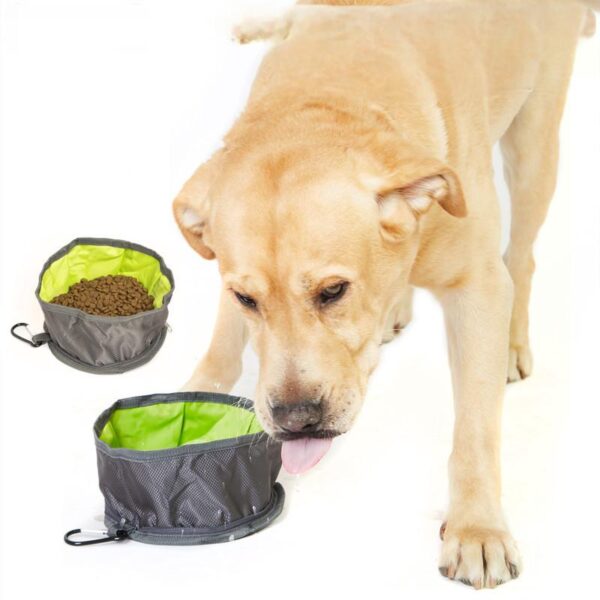 Folded pet bowl in backpack pocket