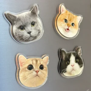Custom Pet Photo Acrylic Fridge Magnet 2PCS – Cat or Dog | 3D Cartoon Style