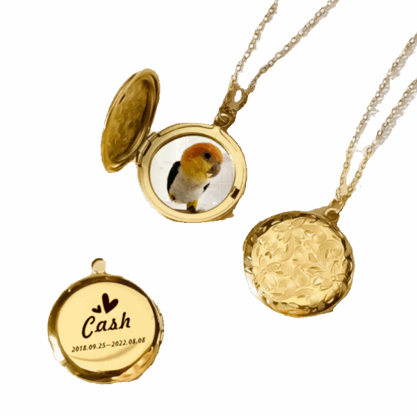 Personalized necklace for cat or dog
