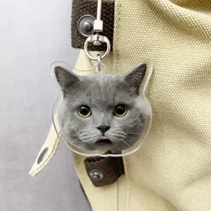 Custom double-sided pet acrylic keychain