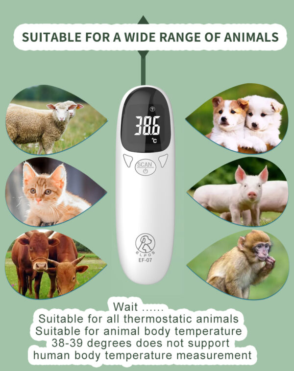 Cat using ear thermometer