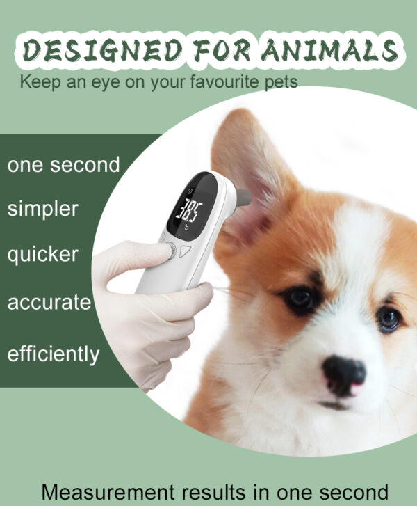 Thermometer measuring pet temperature